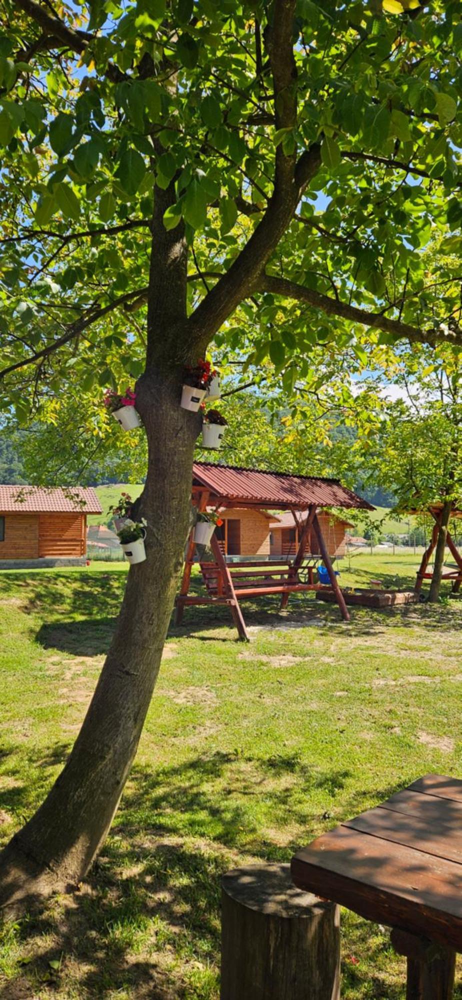 Casute Zavoi Bulz Villa Eksteriør billede